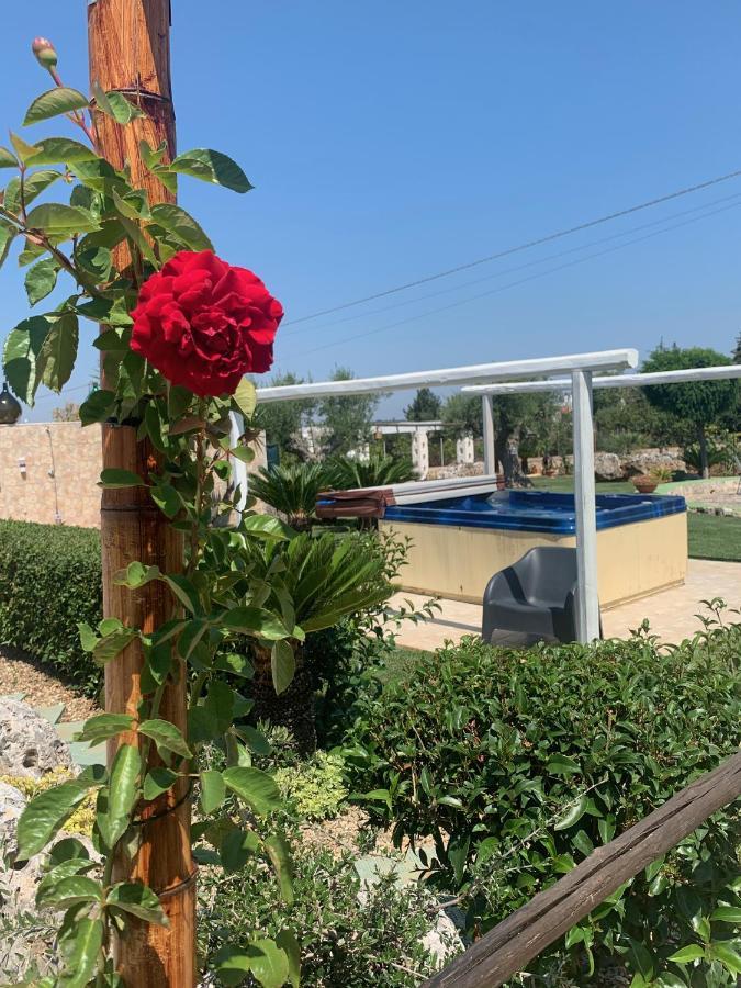 B&B Villa Grassi Alberobello Exteriör bild