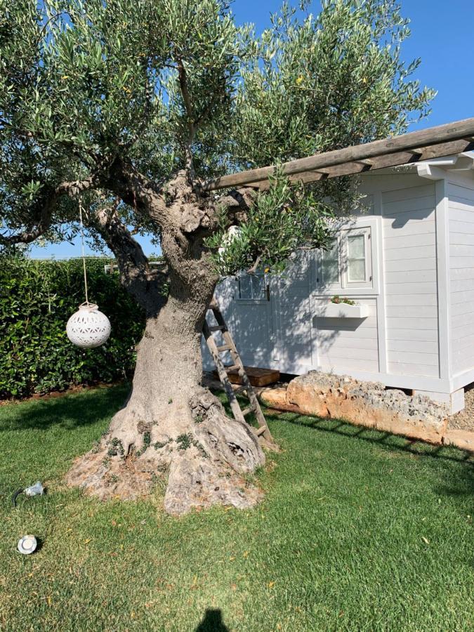 B&B Villa Grassi Alberobello Exteriör bild