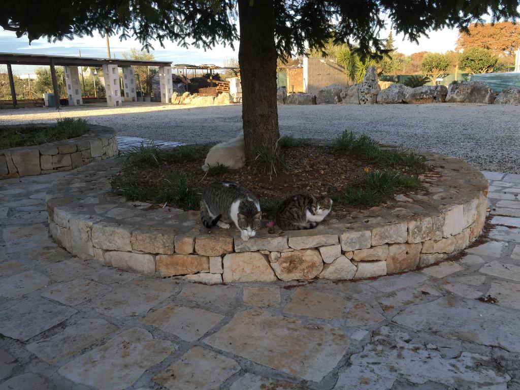 B&B Villa Grassi Alberobello Exteriör bild