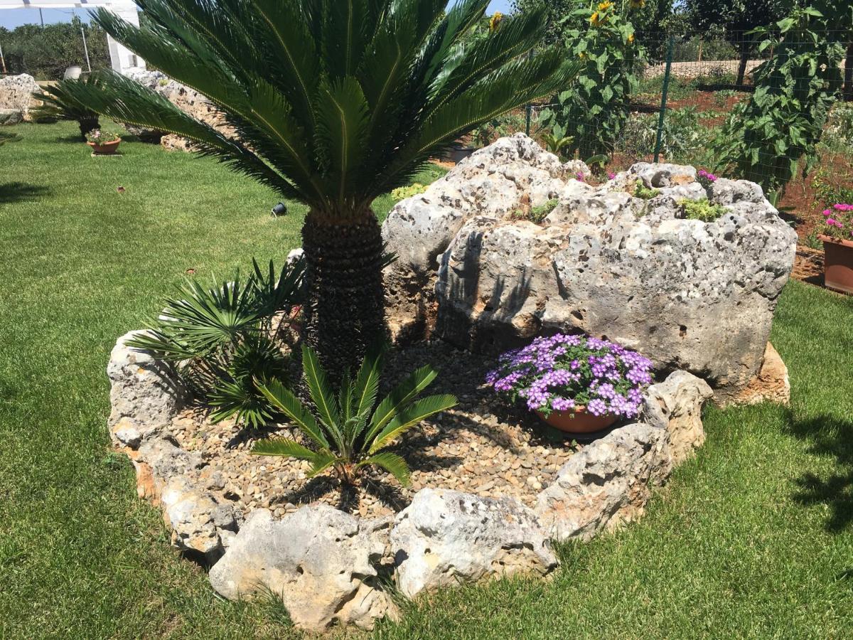 B&B Villa Grassi Alberobello Exteriör bild